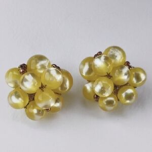 Alice Caviness Signed Engraved Vintage Flower Cluster Beaded Clip On Earrings